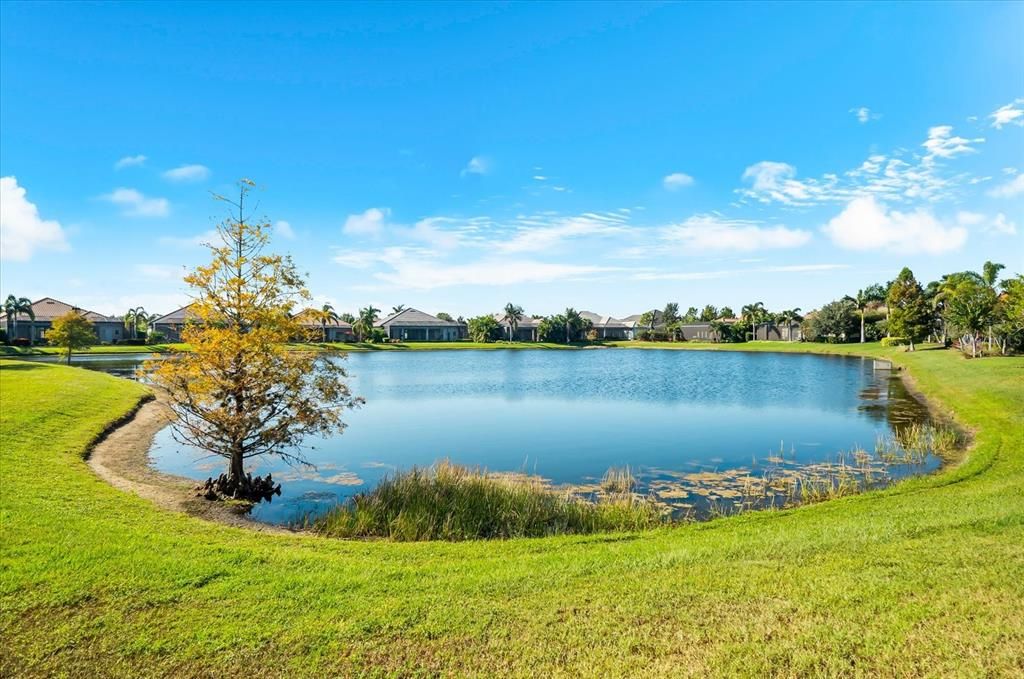 Под контрактом: $1,499,000 (3 спален, 3 ванн, 2852 Квадратных фут)