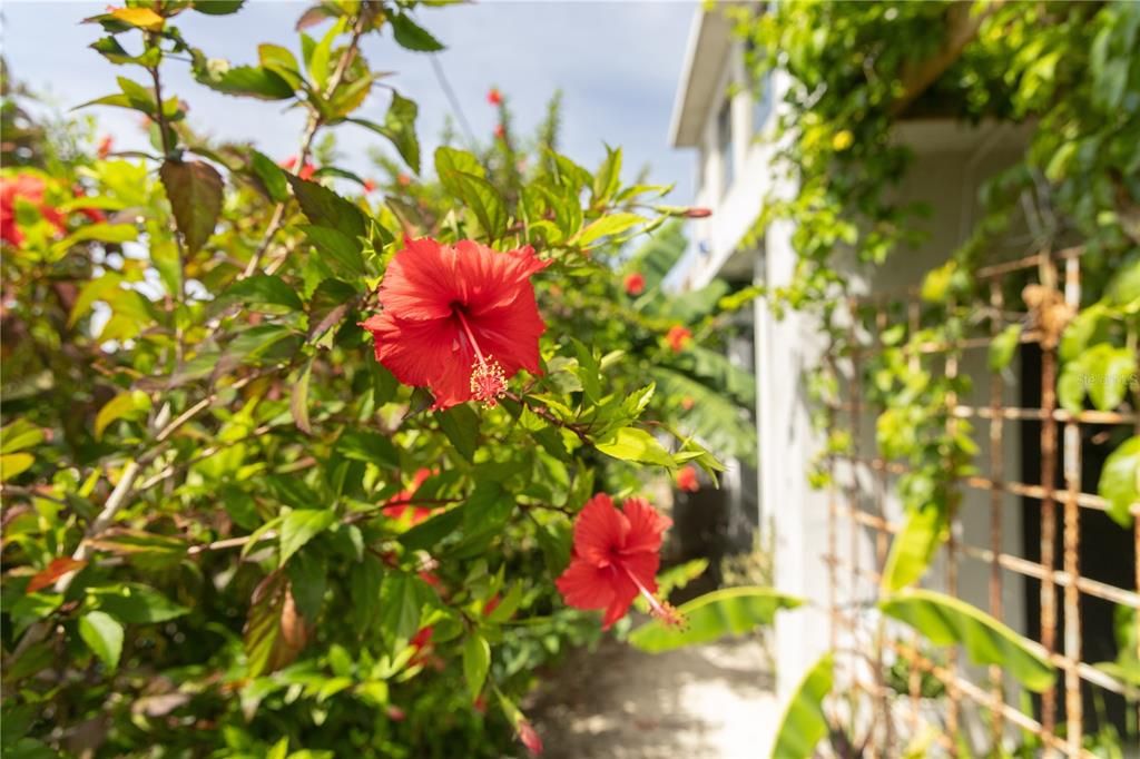 For Sale: $575,000 (3 beds, 3 baths, 1300 Square Feet)