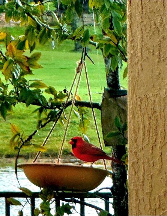 待售: $1,450,000 (4 贝兹, 4 浴室, 3353 平方英尺)