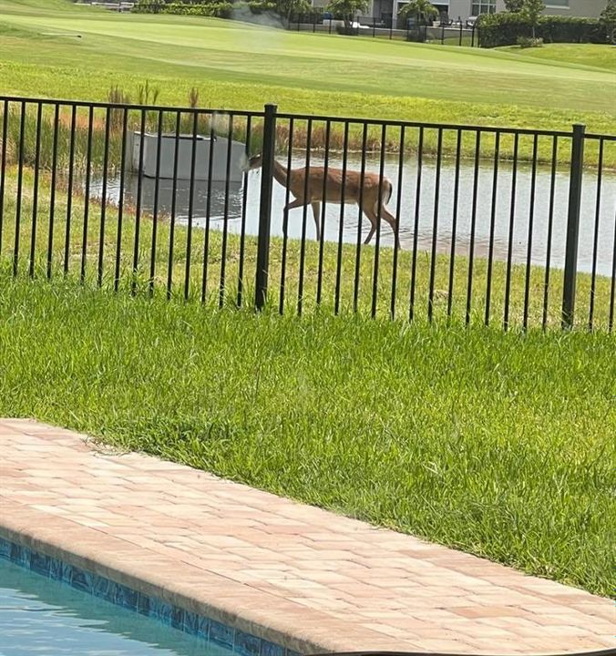 待售: $1,450,000 (4 贝兹, 4 浴室, 3353 平方英尺)