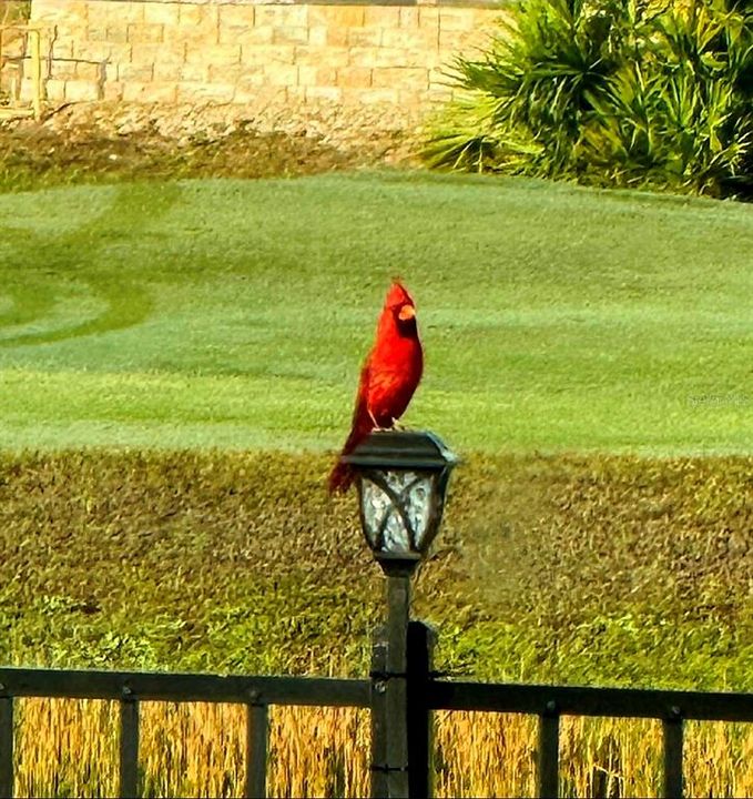 待售: $1,450,000 (4 贝兹, 4 浴室, 3353 平方英尺)