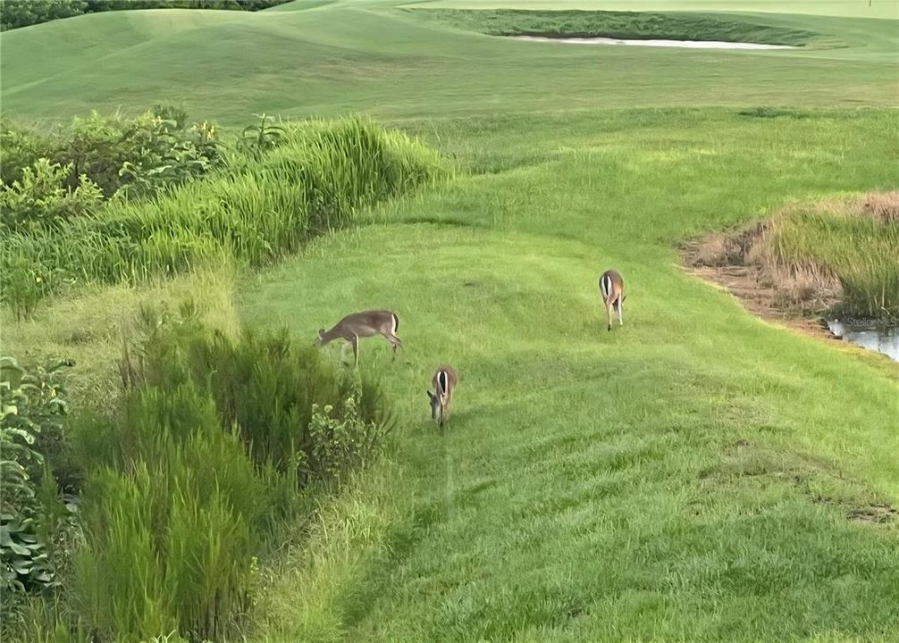 待售: $1,450,000 (4 贝兹, 4 浴室, 3353 平方英尺)