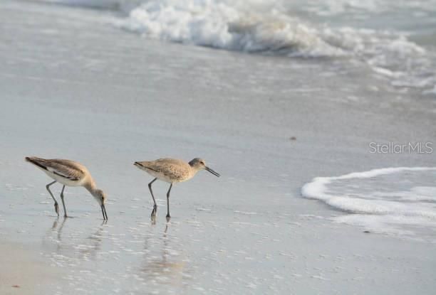 待售: $1,100,000 (3 贝兹, 2 浴室, 1881 平方英尺)