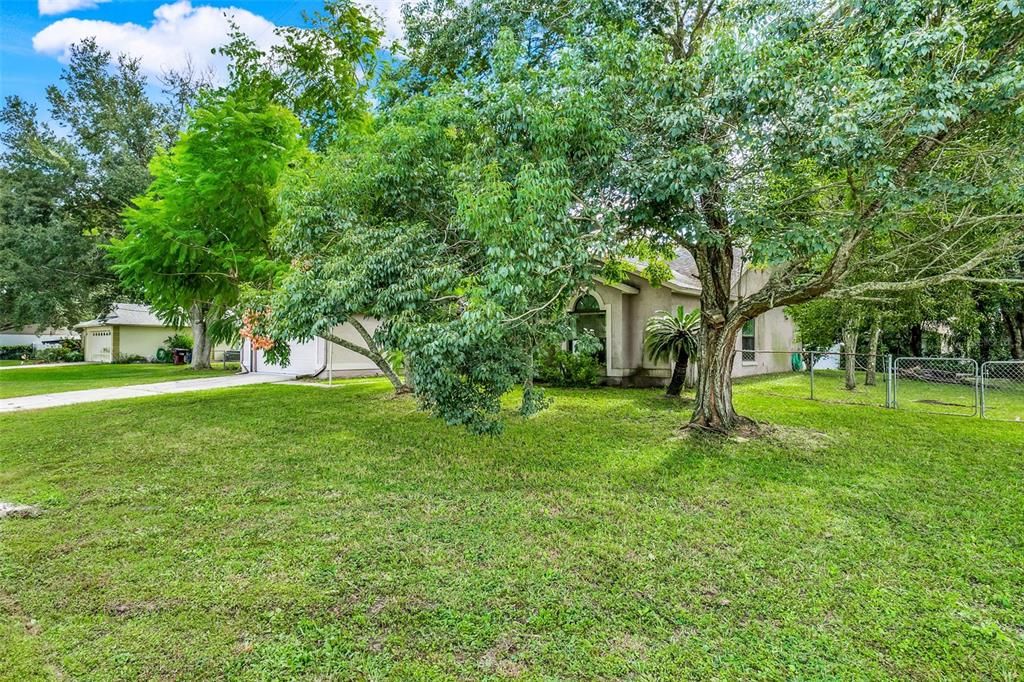 На продажу: $399,000 (3 спален, 2 ванн, 1801 Квадратных фут)