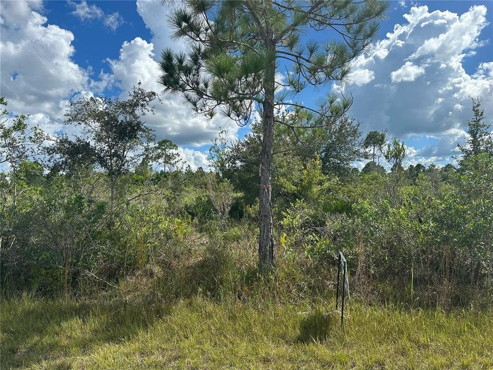 待售: $18,000 (0.50 acres)