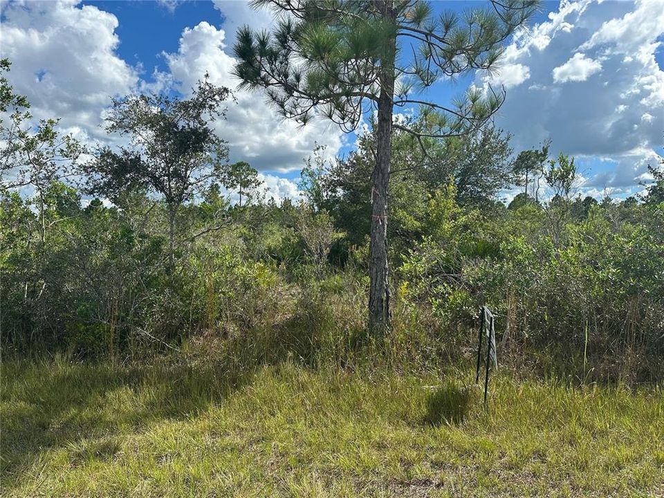 待售: $18,000 (0.50 acres)