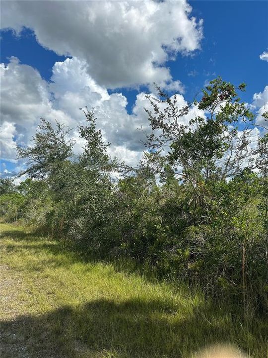 待售: $18,000 (0.50 acres)