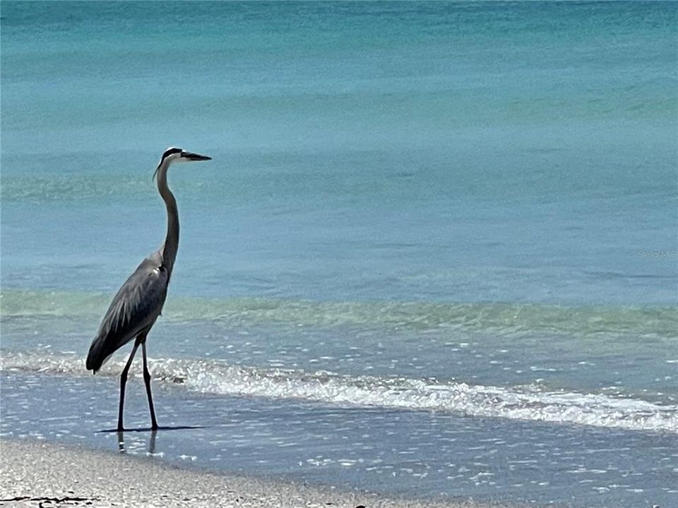 For Sale: $4,499,000 (3 beds, 2 baths, 1173 Square Feet)