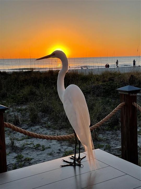 For Sale: $4,499,000 (3 beds, 2 baths, 1173 Square Feet)