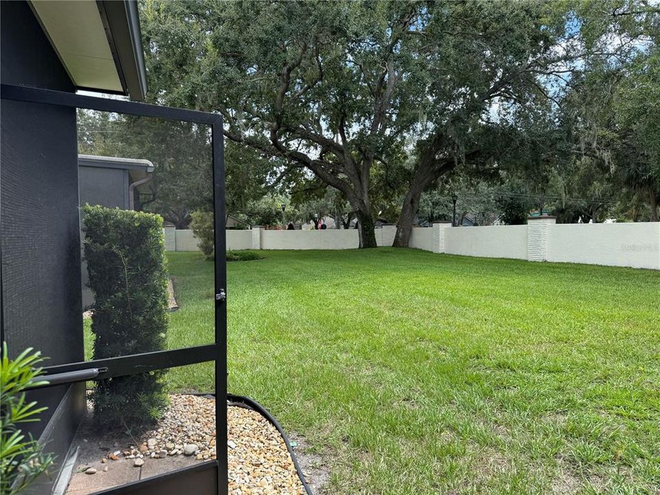 出租: $2,000 (3 贝兹, 2 浴室, 1377 平方英尺)