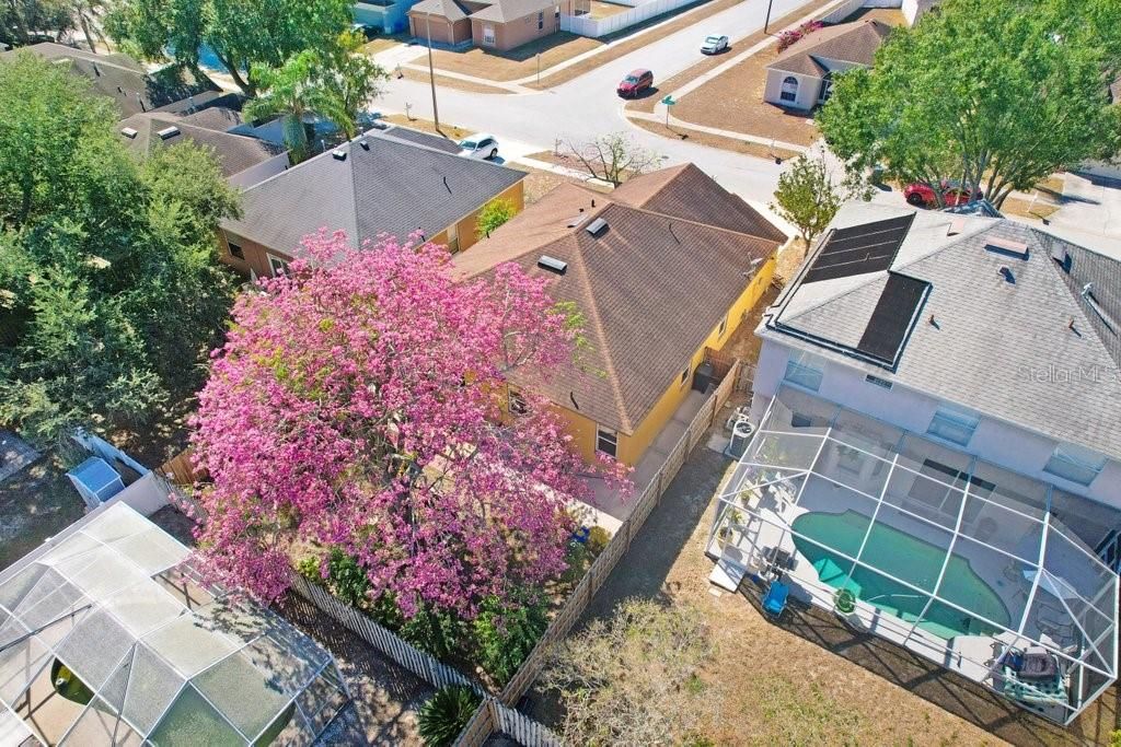 For Sale: $390,000 (3 beds, 2 baths, 1900 Square Feet)