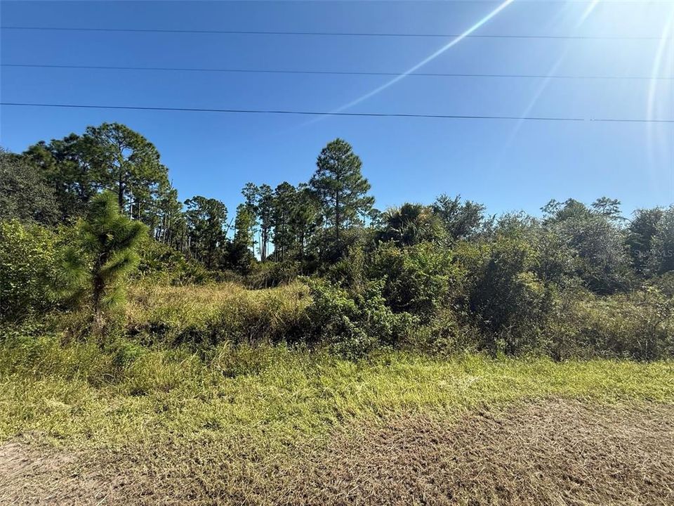 待售: $42,500 (1.25 acres)