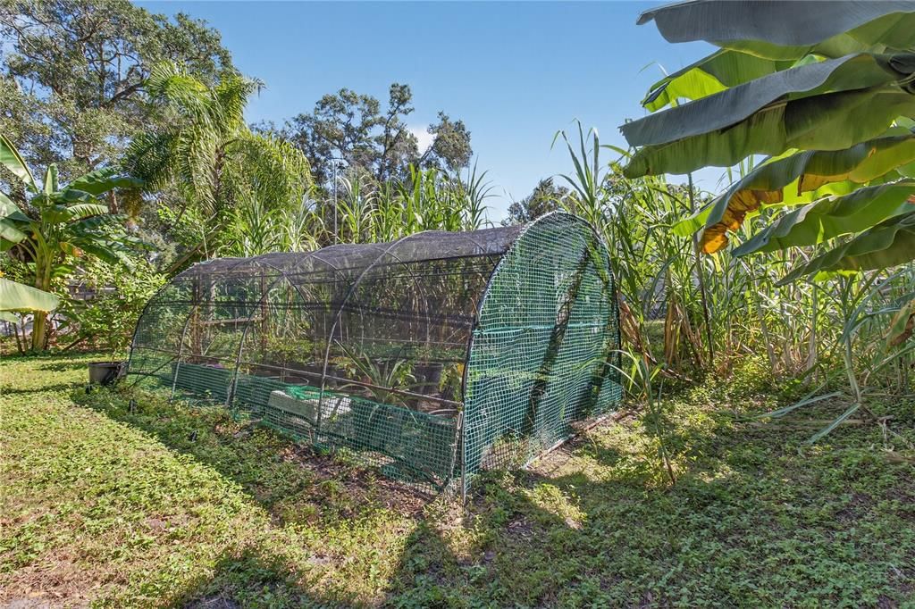 For Sale: $398,900 (0.92 acres)