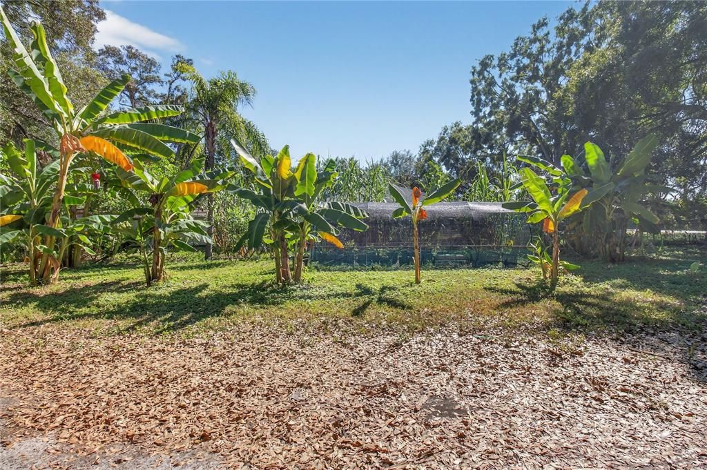 For Sale: $398,900 (0.92 acres)