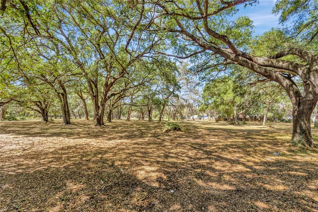 For Sale: $2,500,000 (4.90 acres)