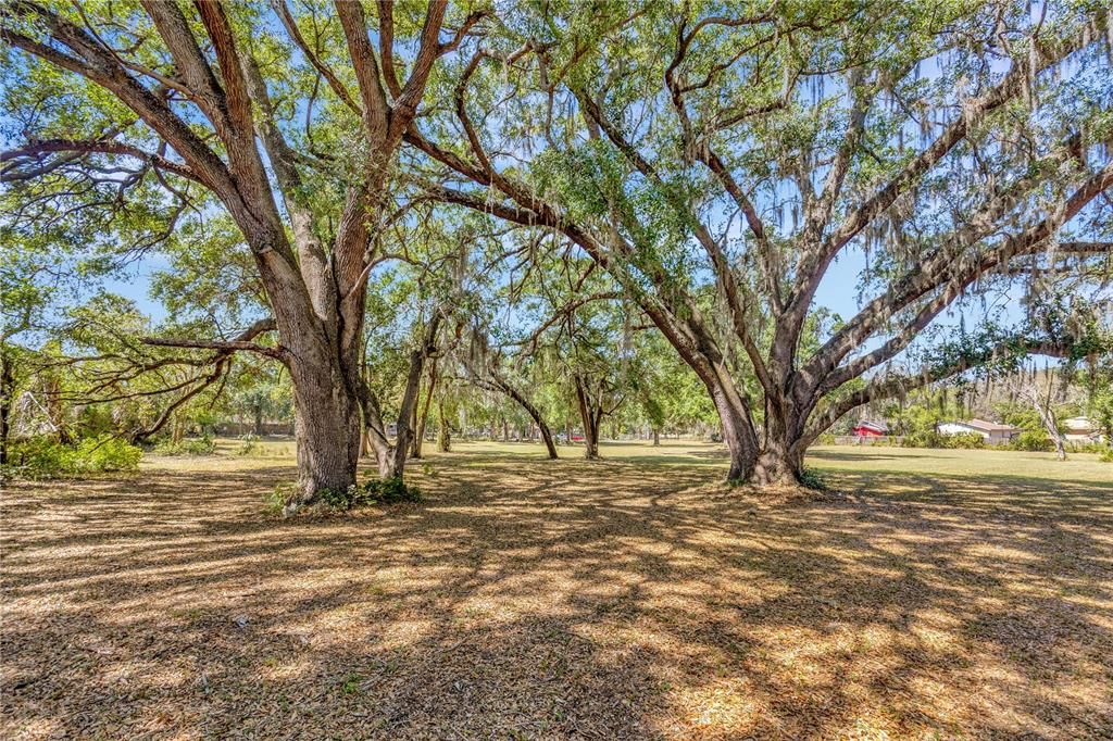 For Sale: $2,500,000 (4.90 acres)