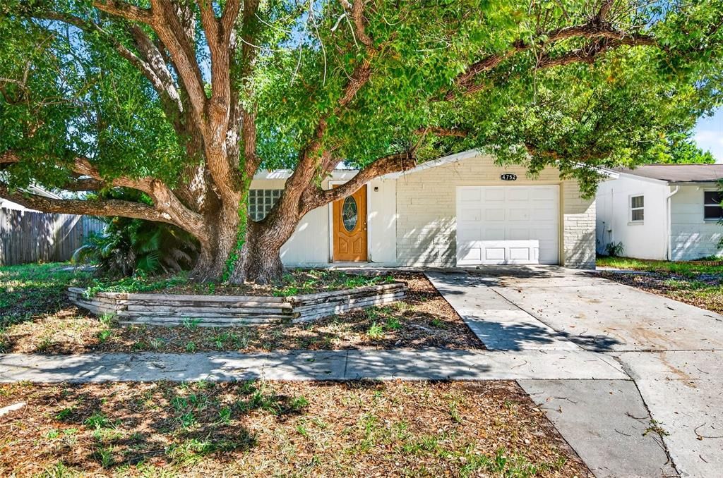 Recently Rented: $1,795 (2 beds, 1 baths, 1068 Square Feet)