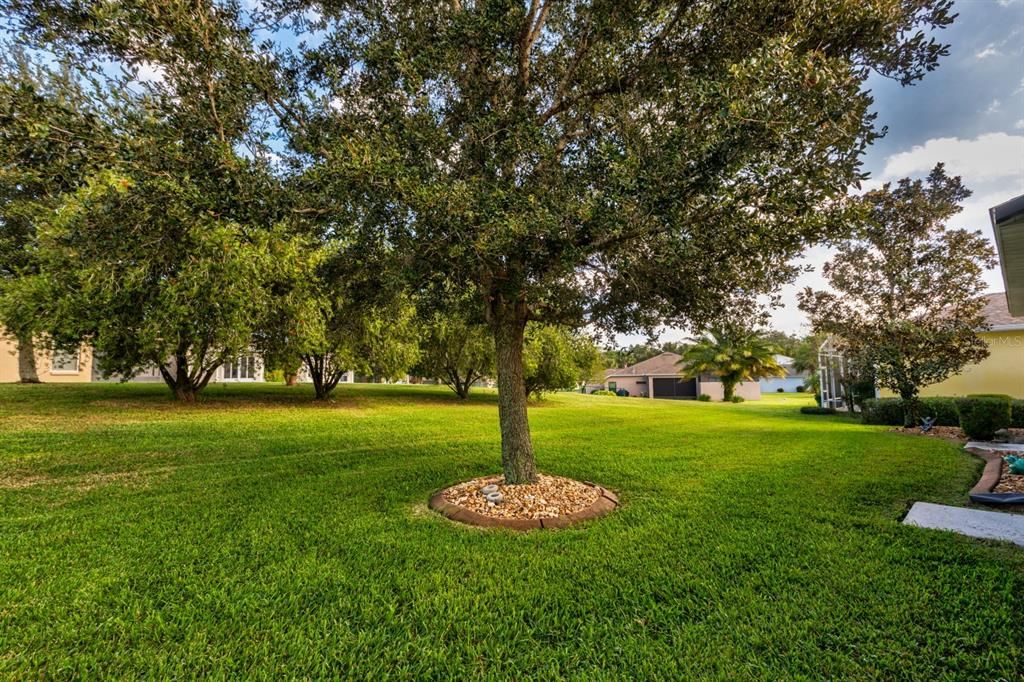 Activo con contrato: $365,000 (3 camas, 2 baños, 1818 Pies cuadrados)