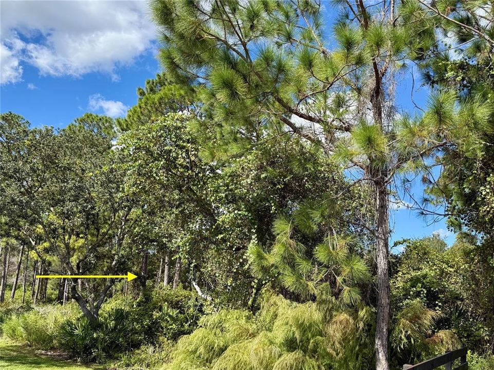 En Venta: $64,500 (1.00 acres)