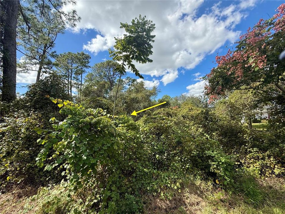 En Venta: $64,500 (1.00 acres)