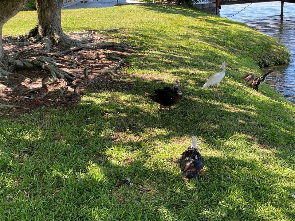 For Sale: $125,000 (2 beds, 1 baths, 912 Square Feet)