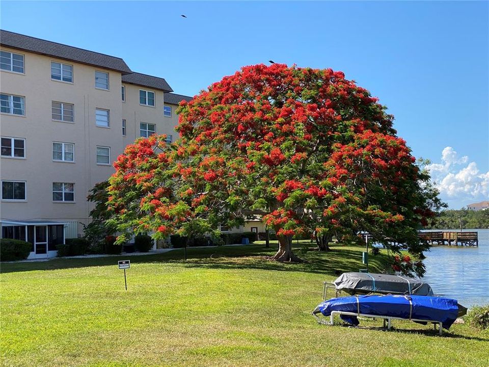 For Sale: $125,000 (2 beds, 1 baths, 912 Square Feet)