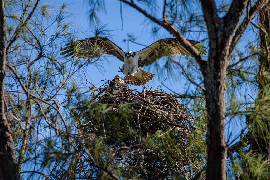 Под контрактом: $325,000 (2 спален, 2 ванн, 1321 Квадратных фут)