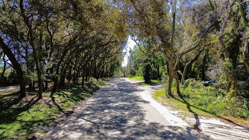 Activo con contrato: $125,000 (0.85 acres)