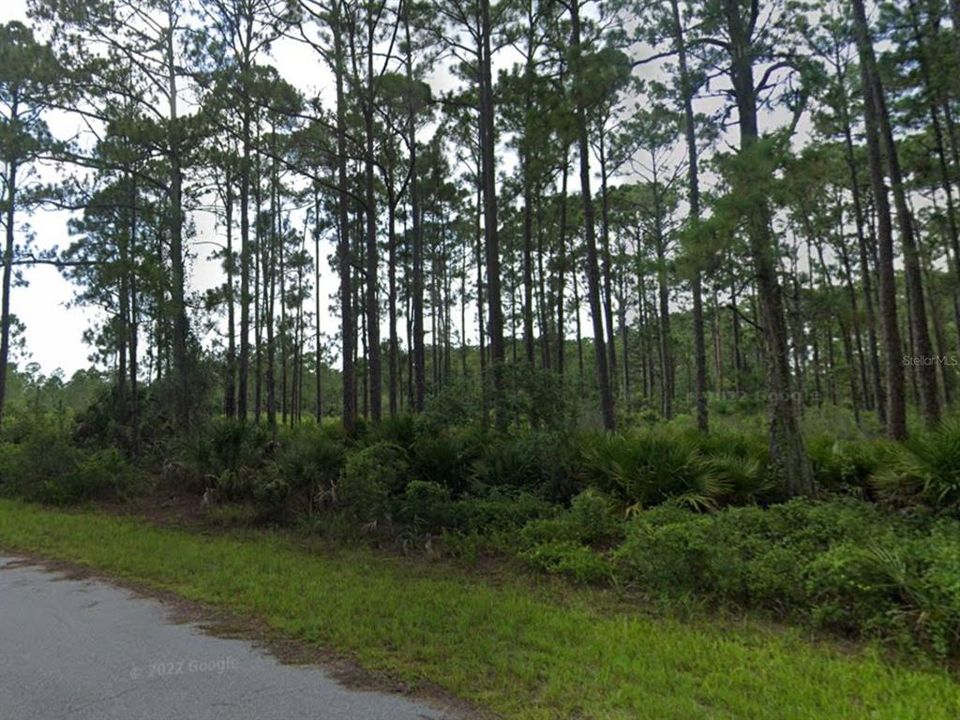 For Sale: $30,500 (0.47 acres)