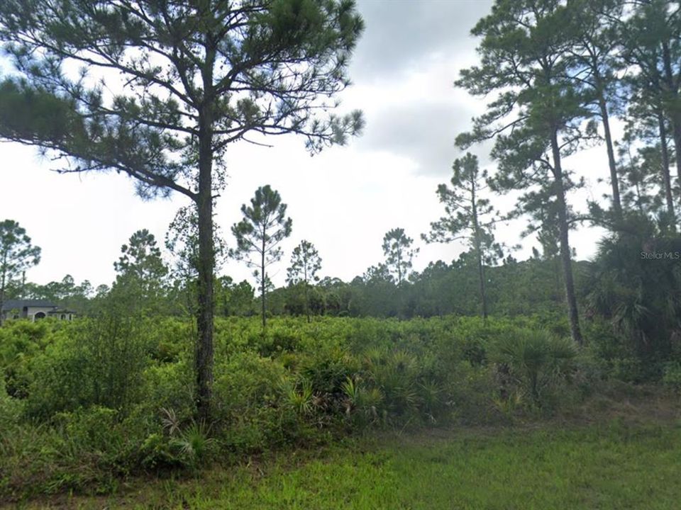 For Sale: $30,500 (0.47 acres)