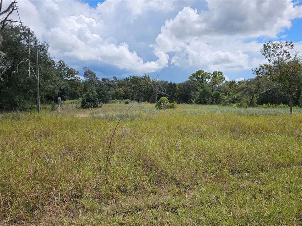 For Sale: $40,000 (0.99 acres)