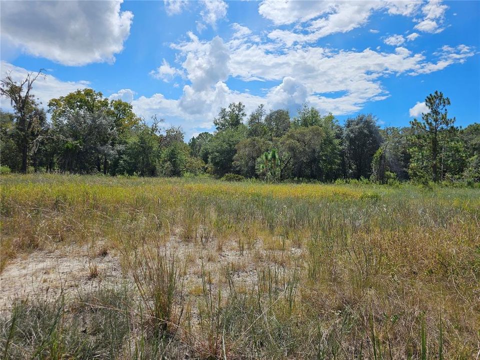 For Sale: $40,000 (0.99 acres)