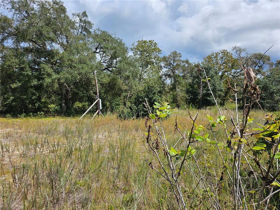 For Sale: $40,000 (0.99 acres)