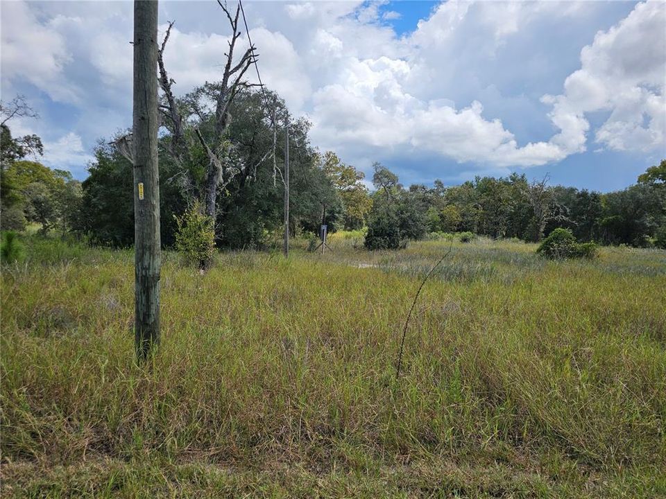 For Sale: $40,000 (0.99 acres)