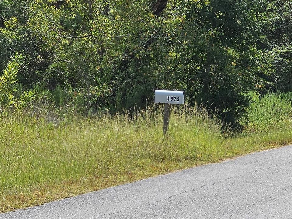 For Sale: $40,000 (0.99 acres)