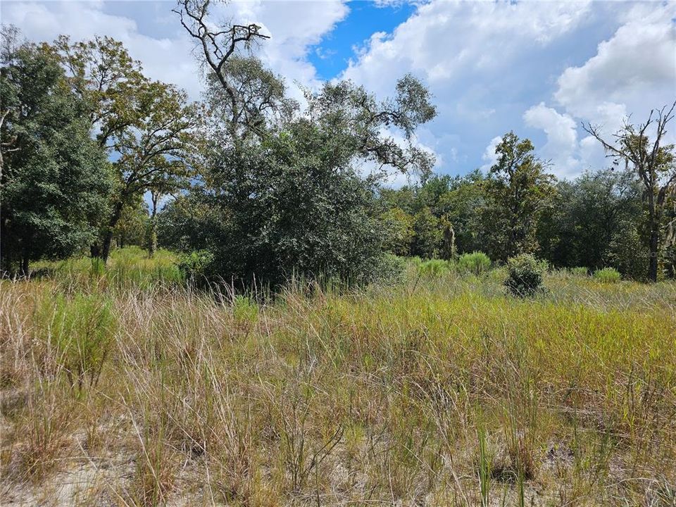 For Sale: $40,000 (0.99 acres)