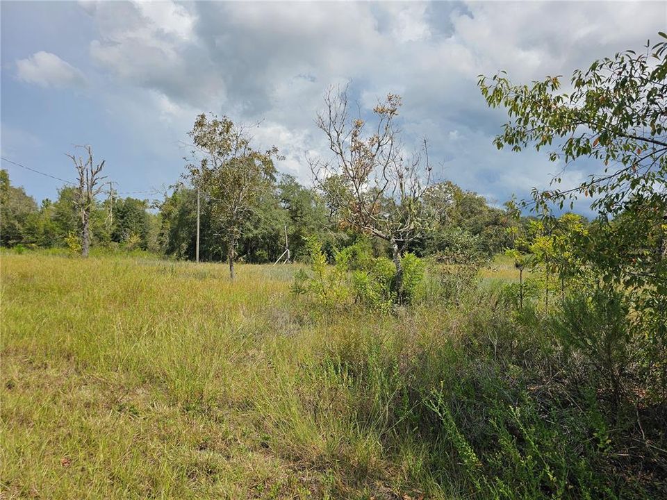 For Sale: $40,000 (0.99 acres)