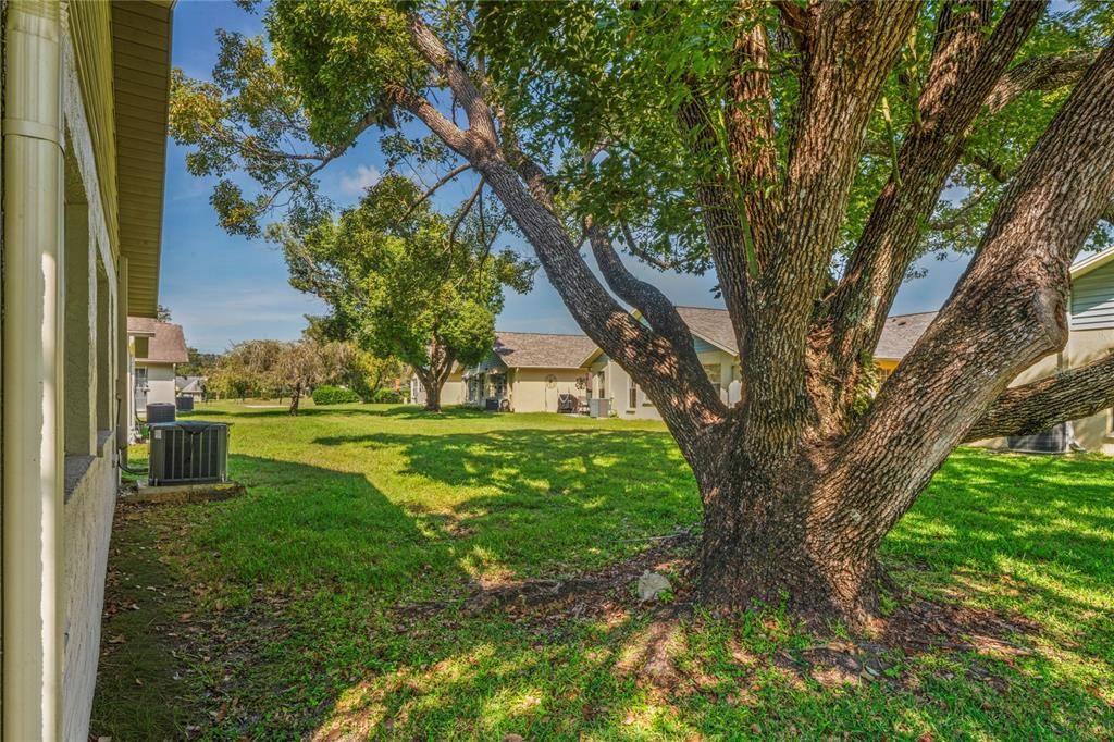 For Sale: $237,000 (2 beds, 2 baths, 1340 Square Feet)