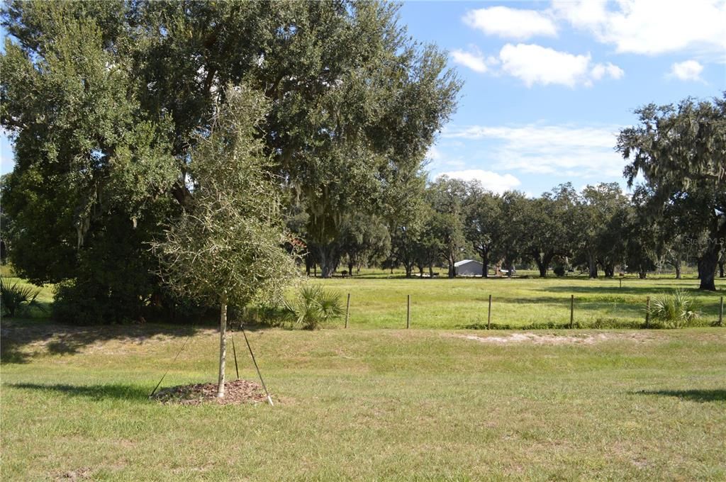 В аренду: $2,195 (3 спален, 2 ванн, 1647 Квадратных фут)