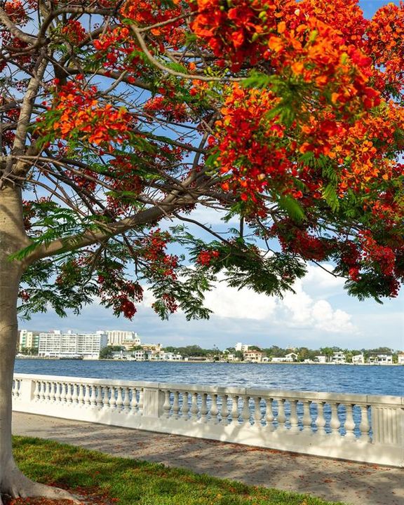 待售: $165,000 (1 贝兹, 1 浴室, 760 平方英尺)