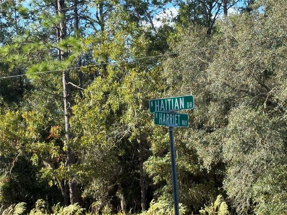 На продажу: $24,500 (0.31 acres)