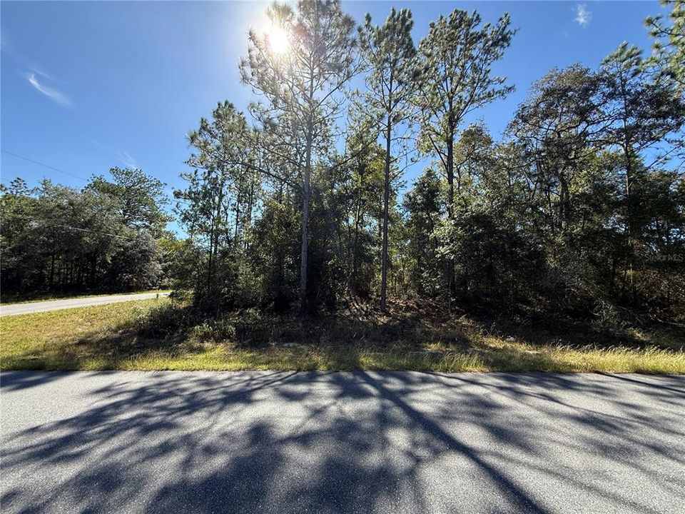 На продажу: $24,500 (0.31 acres)