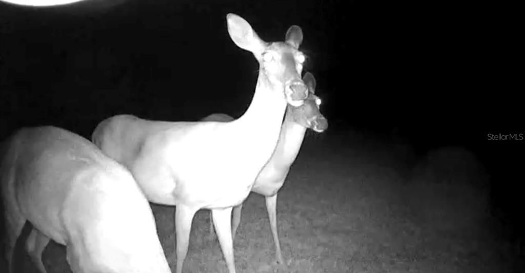 待售: $559,900 (3 贝兹, 3 浴室, 2280 平方英尺)