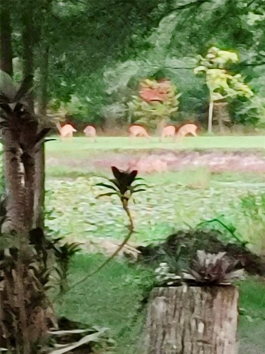 待售: $559,900 (3 贝兹, 3 浴室, 2280 平方英尺)