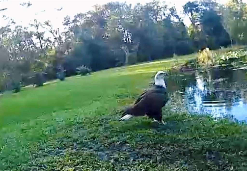 待售: $559,900 (3 贝兹, 3 浴室, 2280 平方英尺)