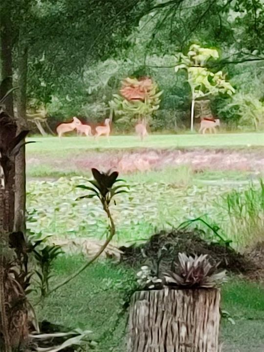 待售: $559,900 (3 贝兹, 3 浴室, 2280 平方英尺)