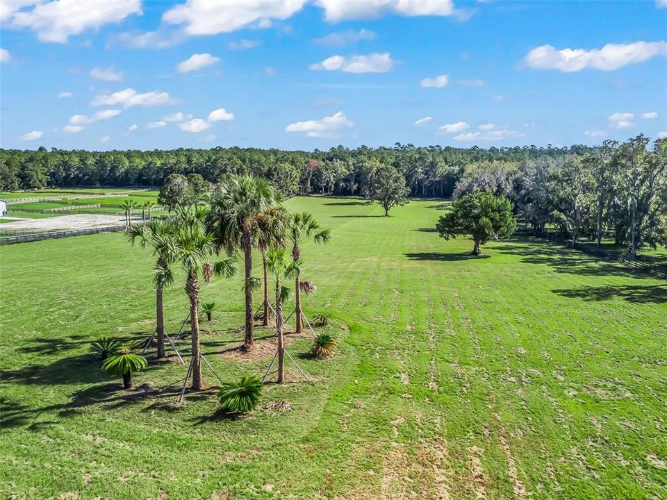 For Sale: $525,000 (10.71 acres)