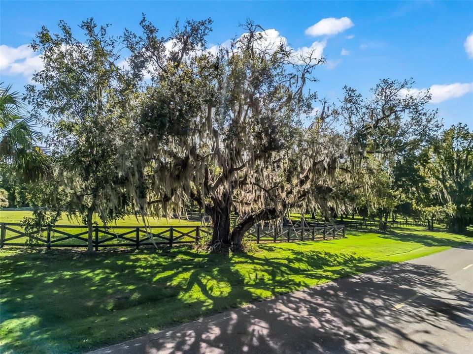 For Sale: $525,000 (10.71 acres)