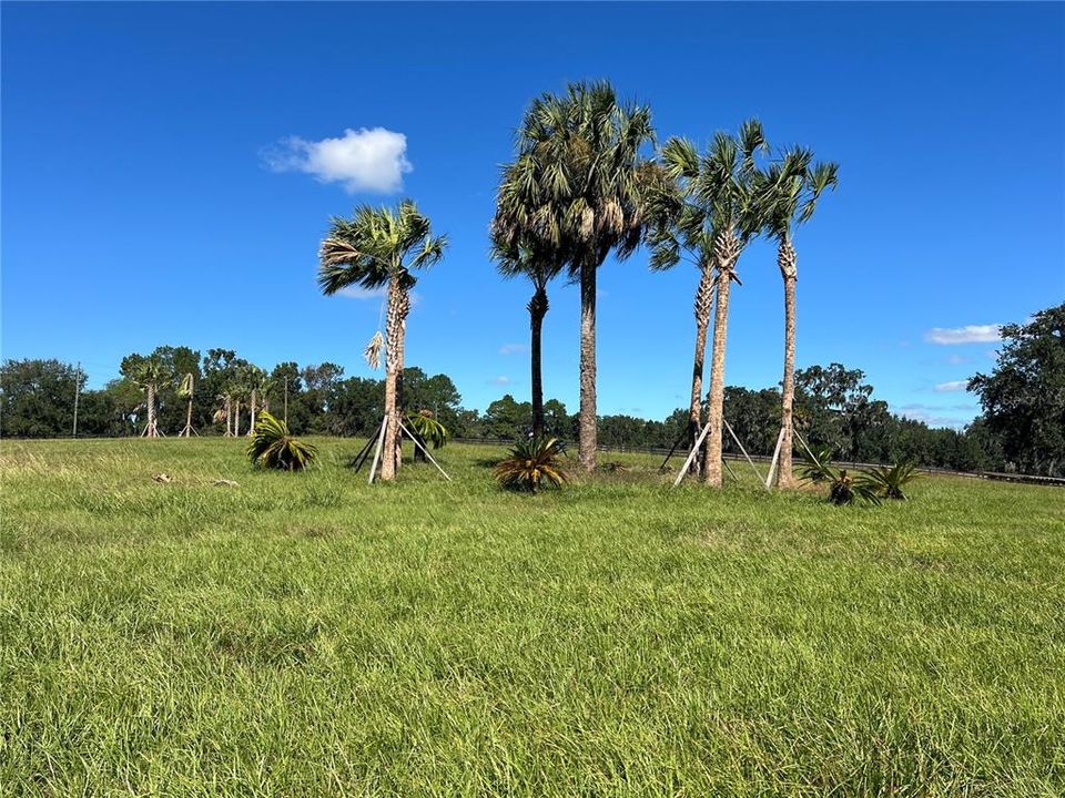 For Sale: $525,000 (10.71 acres)