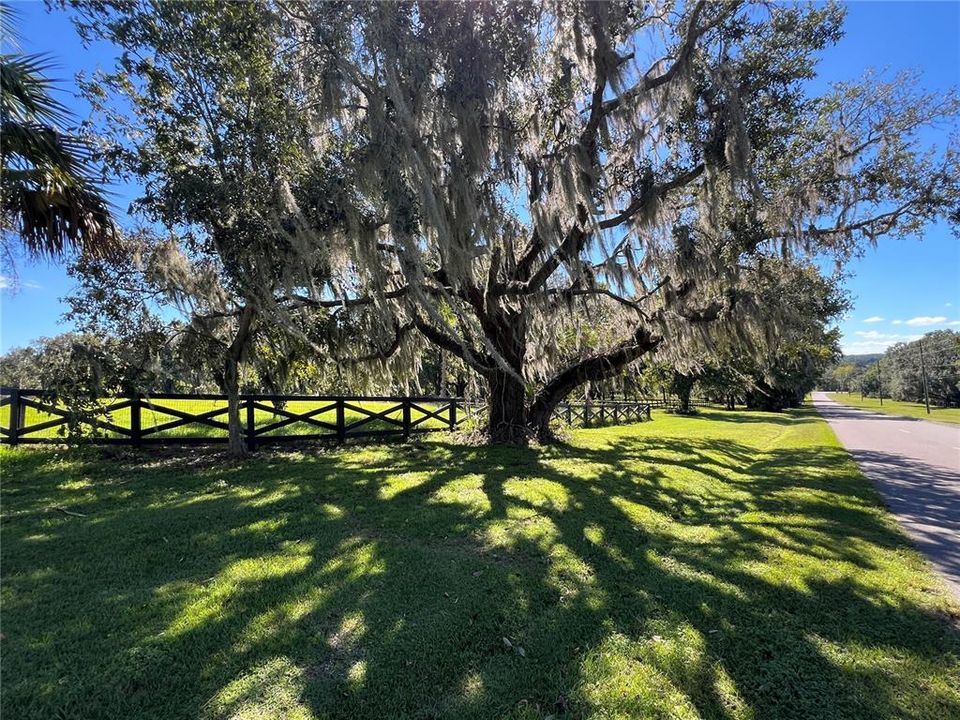 For Sale: $525,000 (10.71 acres)